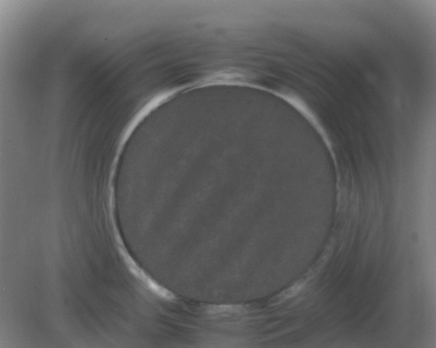 X0000082201341200702021834