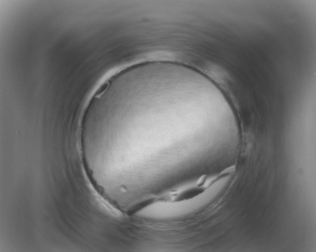 X0000082201342200702021834