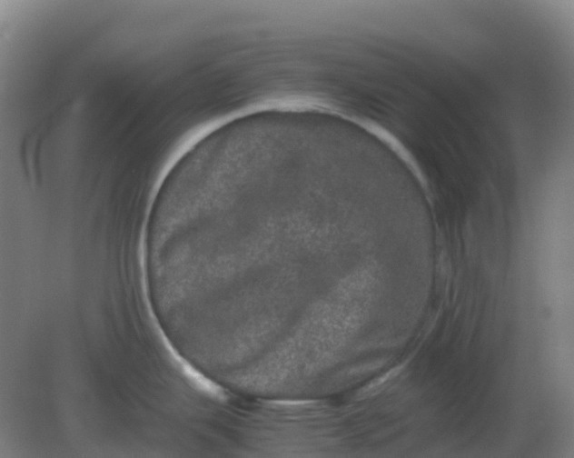 X0000082201343200702021834