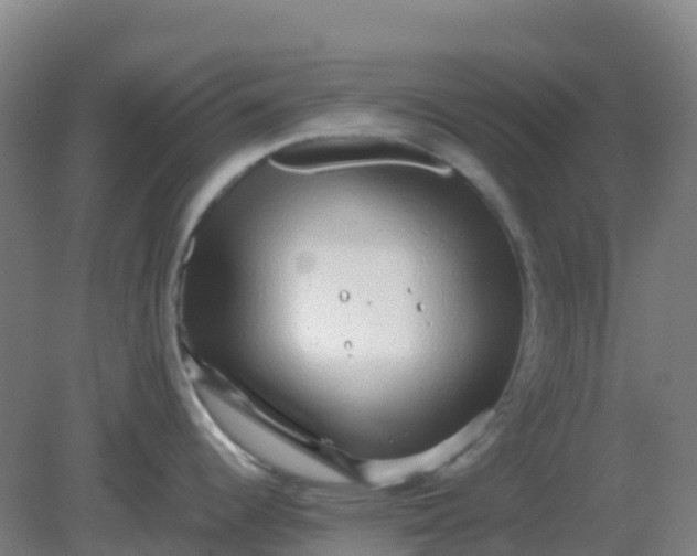 X0000082201344200702021834