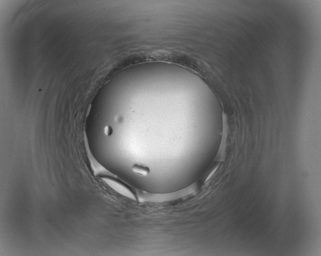 X0000082201345200702021833