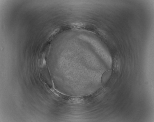 X0000082201346200702021833