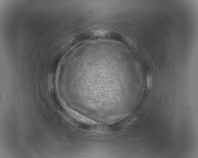 X0000082201347200702021833