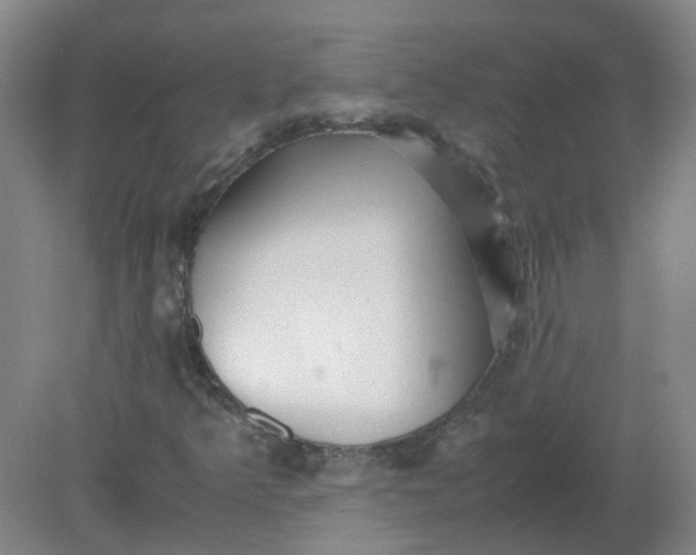 X0000082201349200702021833