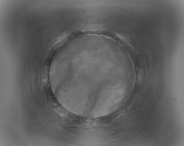 X0000082201350200702021833