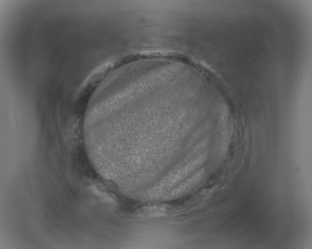 X0000082201351200702021833