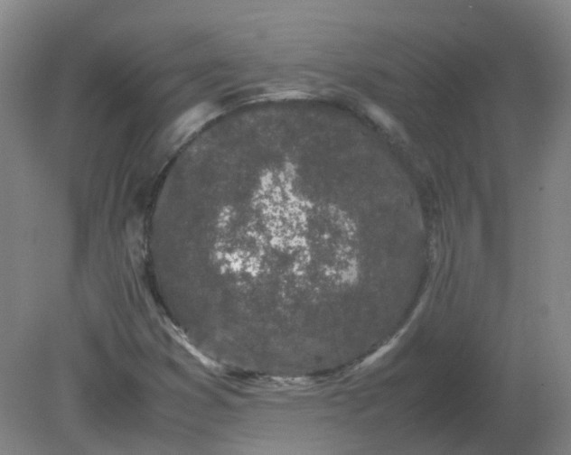 X0000082201353200702021833