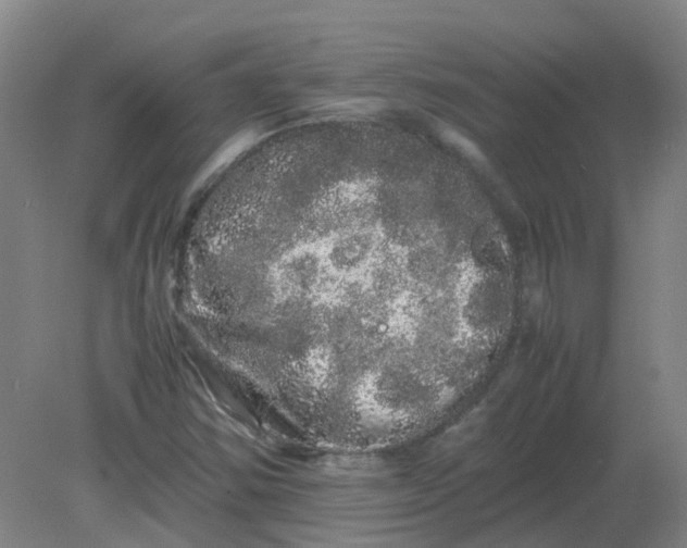 X0000082201354200702021833