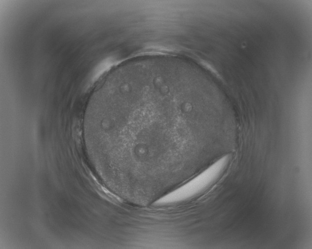 X0000082201355200702021833