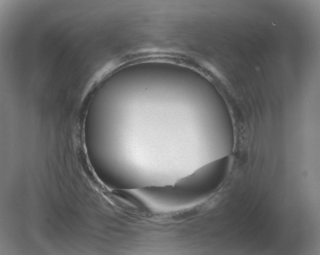 X0000082201357200702021833