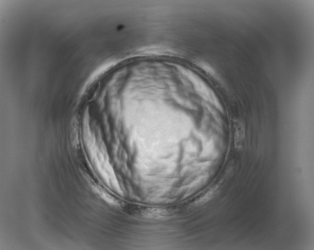 X0000082201358200702021833