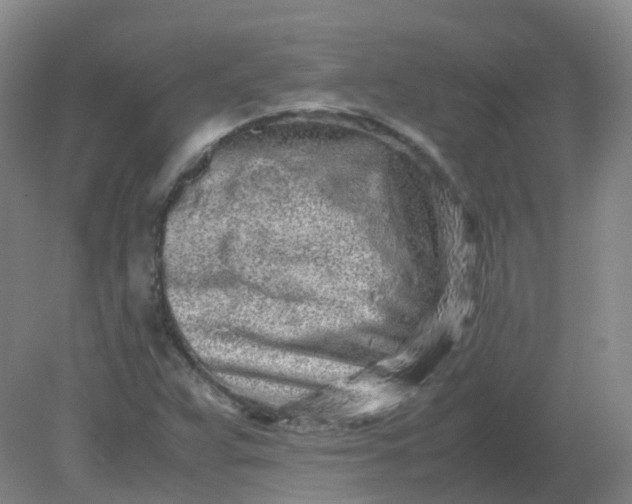 X0000082201359200702021833