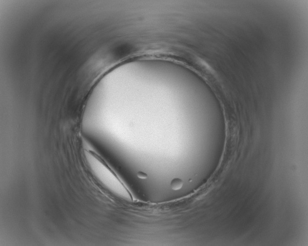 X0000082201361200702021833