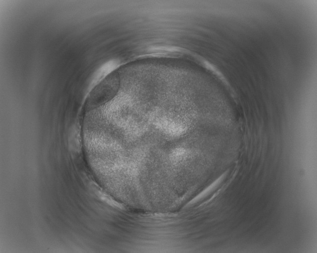 X0000082201362200702021833