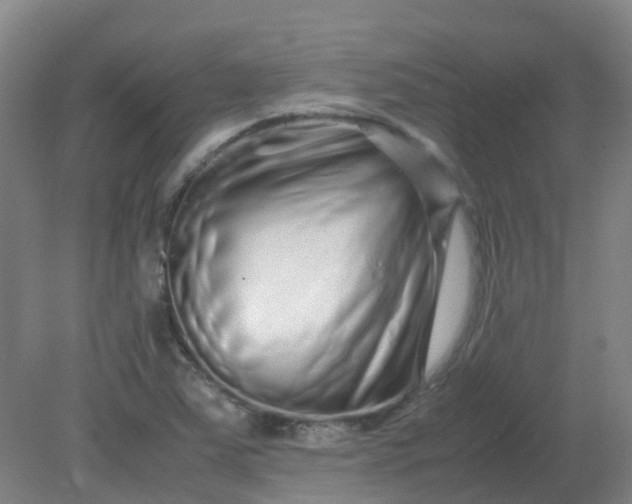 X0000082201363200702021833