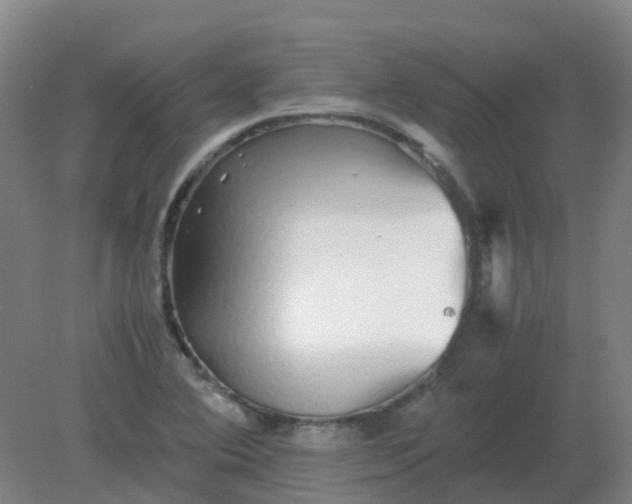 X0000082201364200702021833