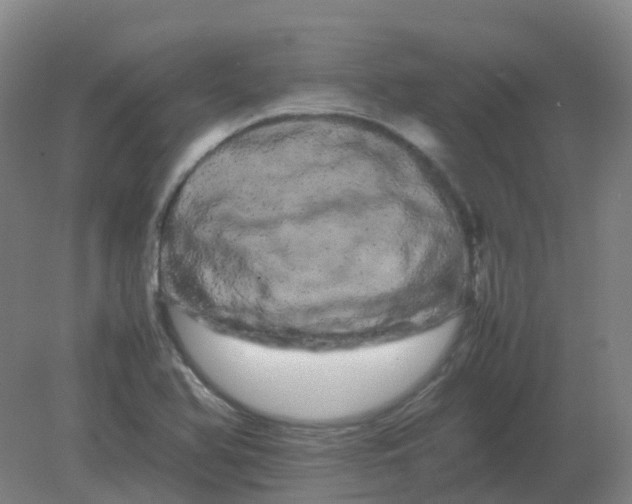 X0000082201366200702021833