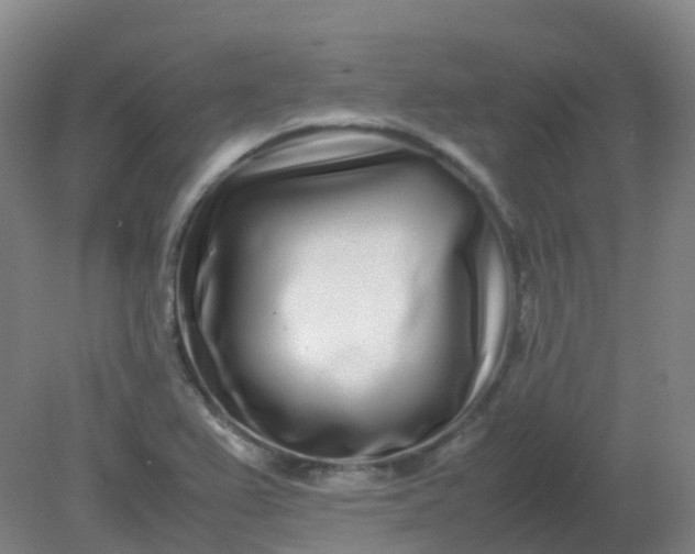 X0000082201367200702021833