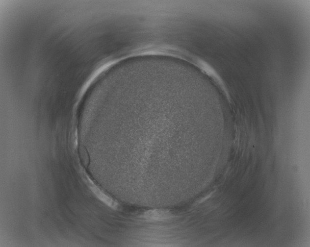 X0000082201368200702021833