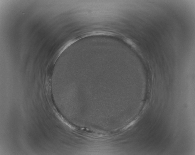 X0000082201369200702021833