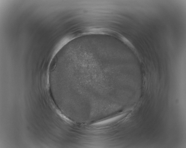 X0000082201370200702021833