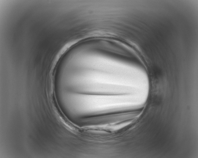 X0000082201371200702021833