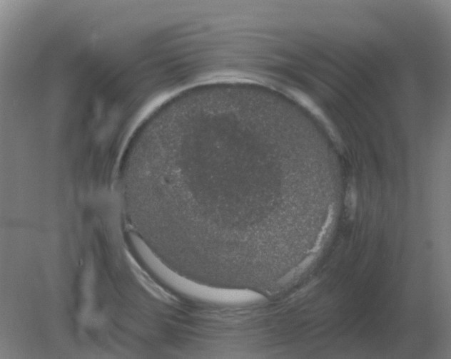 X0000082201372200702021833