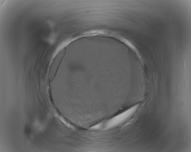 X0000082201373200702021833