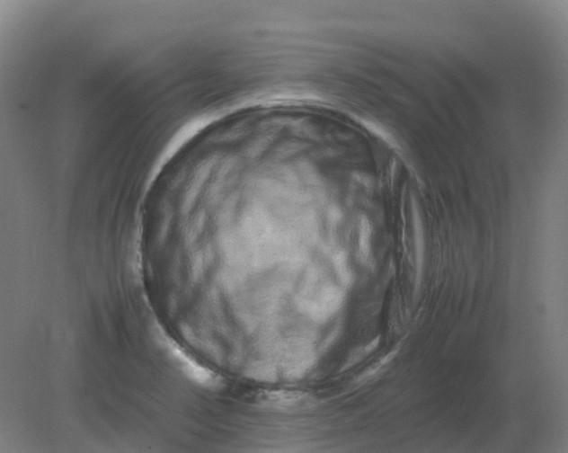 X0000082201374200702021833