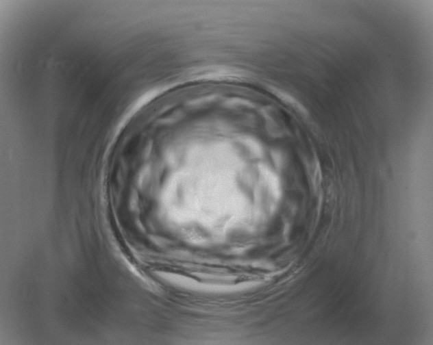 X0000082201375200702021833