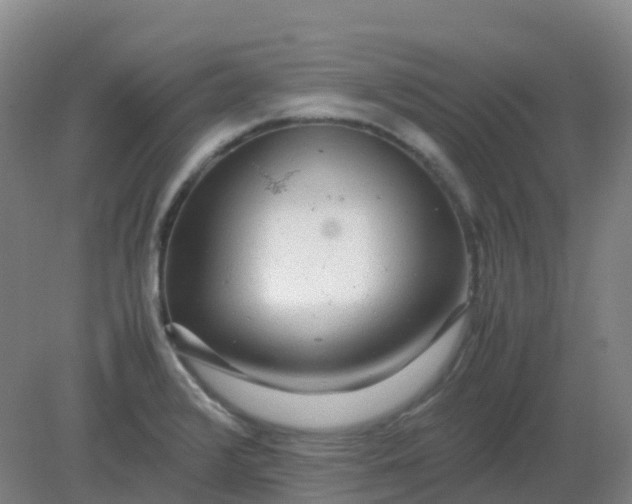 X0000082201376200702021833