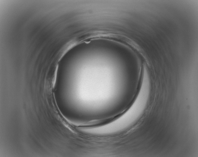 X0000082201377200702021833