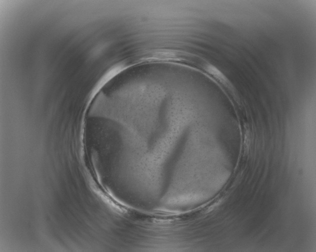 X0000082201378200702021833