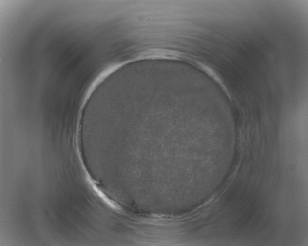 X0000082201379200702021833