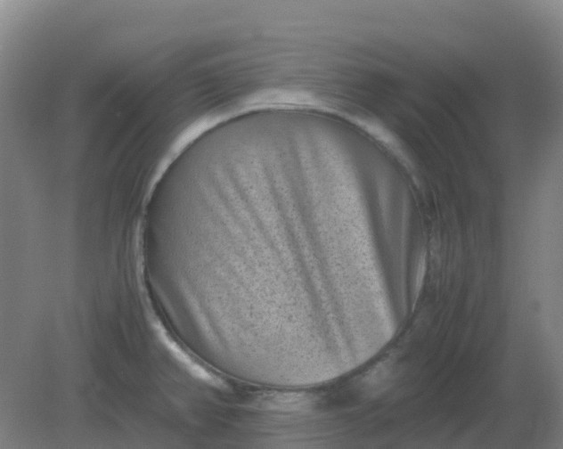 X0000082201382200702021833