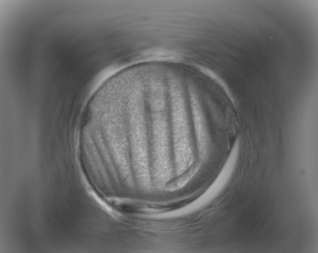 X0000082201383200702021833