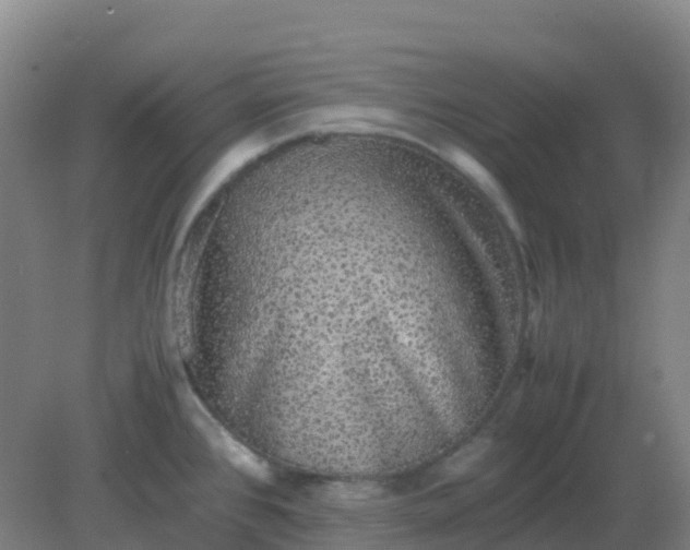 X0000082201384200702021833