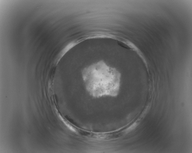 X0000082201385200702021833