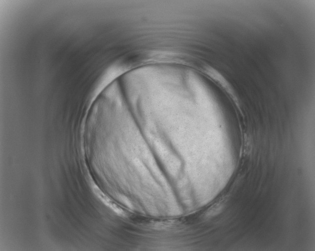 X0000082201386200702021833