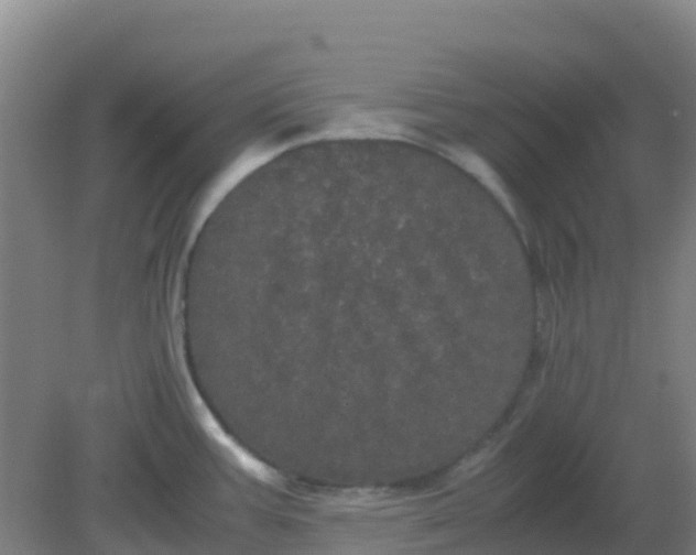 X0000082201387200702021833