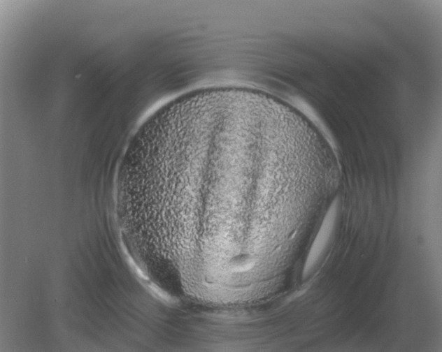 X0000082201388200702021833