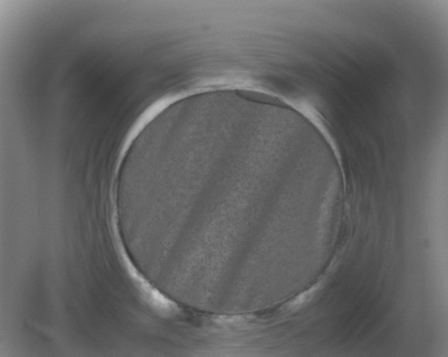 X0000082201389200702021833