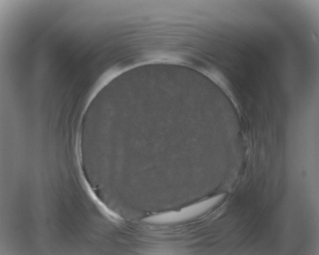 X0000082201391200702021833