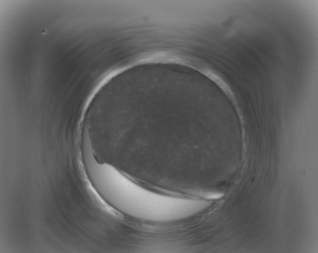 X0000082201392200702021833