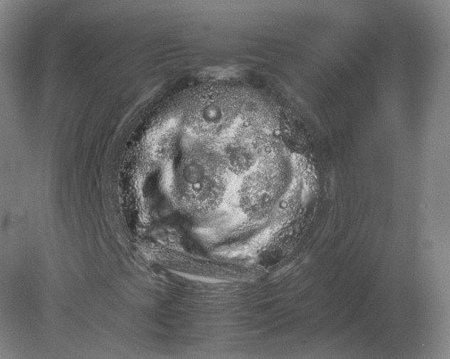 X0000082201393200702021832