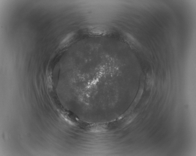 X0000082201394200702021832