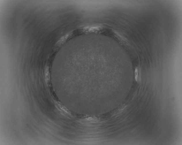 X0000082201395200702021832