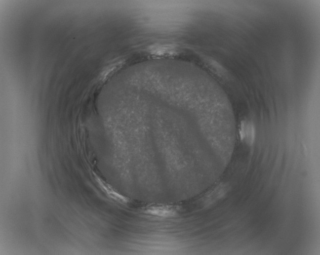 X0000082201396200702021832