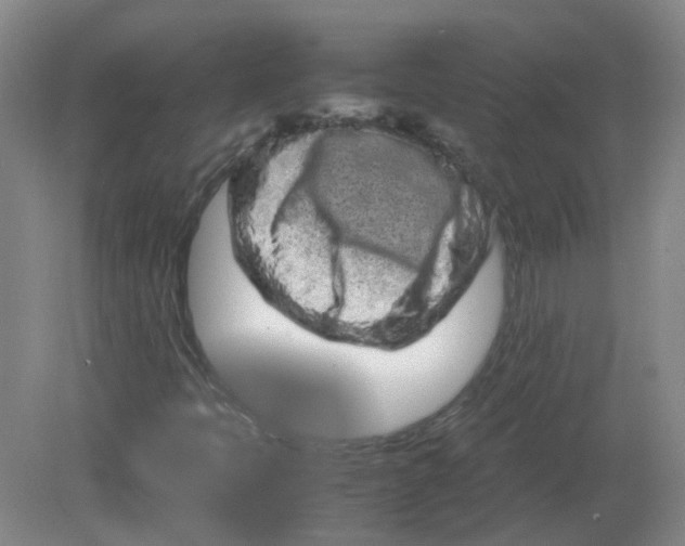 X0000082201397200702021832