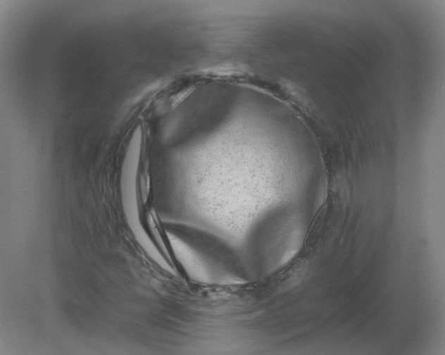 X0000082201398200702021832